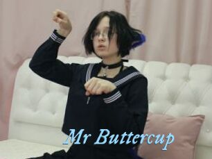 Mr_Buttercup