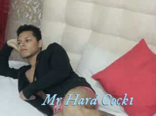 Mr_Hard_Cock1