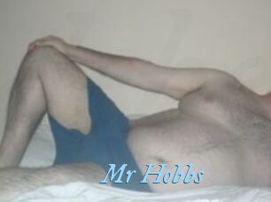 Mr_Hobbs