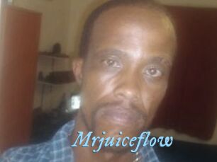 Mrjuiceflow