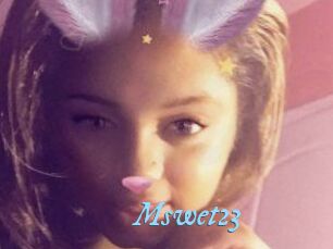 Mswet23