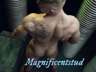 Magnificentstud