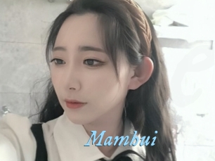 Mamhui
