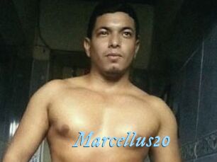 Marcellus20