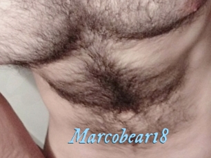 Marcobear18