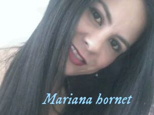 Mariana_hornet