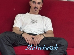 mariohawk DeriheruI