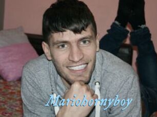 Mariohornyboy