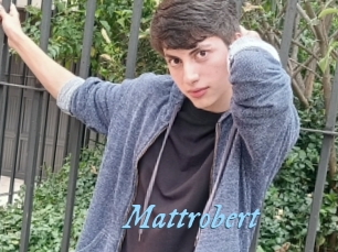 Mattrobert