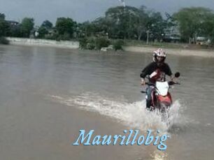 Maurillobig