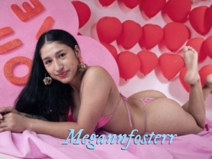 Megannfosterr