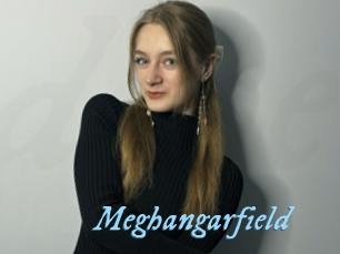 Meghangarfield