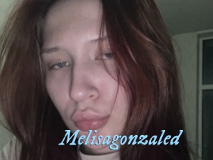 Melisagonzaled