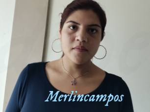 Merlincampos