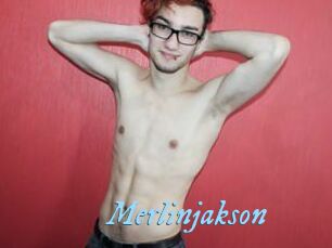 Merlinjakson