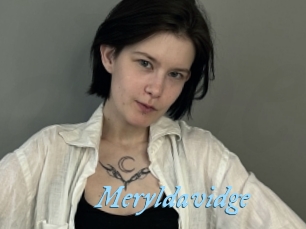 Meryldavidge