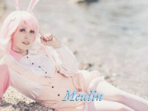 Meulin
