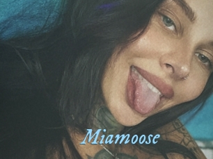 Miamoose