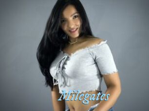 Milegates