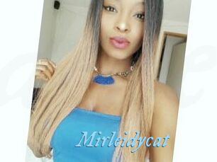 Mirleidycat
