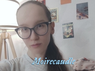 Moirecaudle