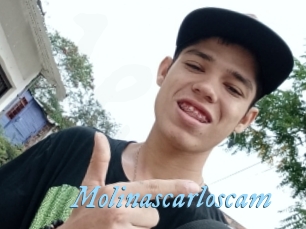 Molinascarloscam