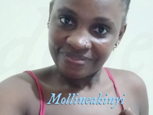 Mollineakinyi