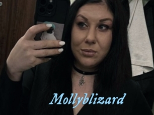 Mollyblizard