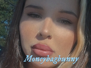 Moneybagbunny