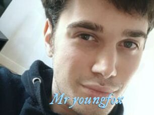 Mr_youngfox