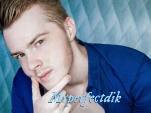 Mrperfectdik