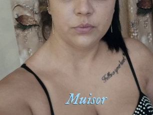 Muisor