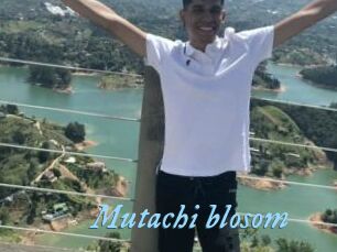 Mutachi_blosom