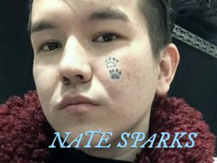 NATE_SPARKS