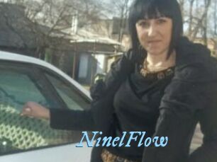 NinelFlow