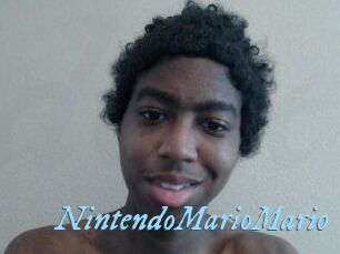NintendoMarioMario