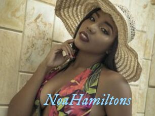 NoaHamiltons