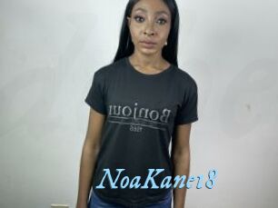 NoaKane18