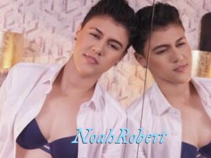 NoahRobert