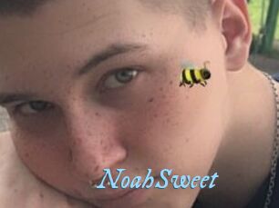 NoahSweet