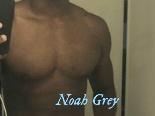 Noah_Grey