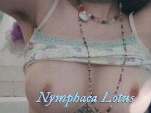 Nymphaea_Lotus
