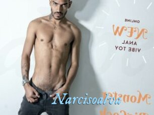 Narcisoalva