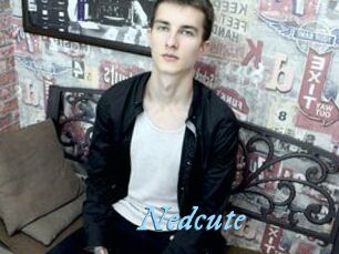 Nedcute