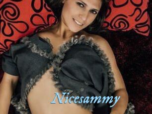 Nicesammy