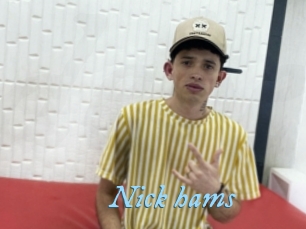 nick_hams DeriheruI