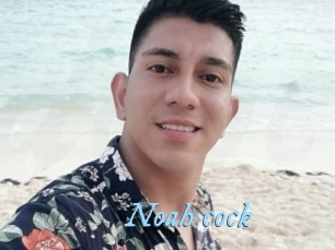 noah_cock DeriheruI