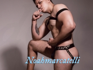 noahmarcatelli DeriheruI