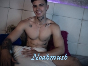 noahmush DeriheruI