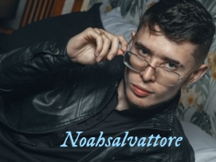 Noahsalvattore
